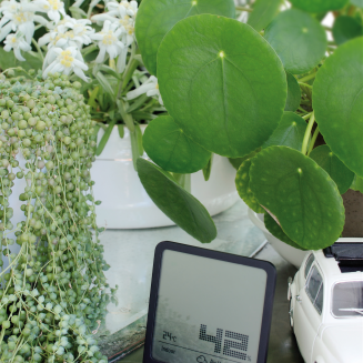  Stadler Form Selina hygrometer black - 5