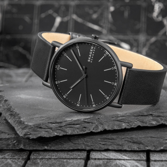 Zegarek Męski SKAGEN Signatur SKW6902 + BOX - 6