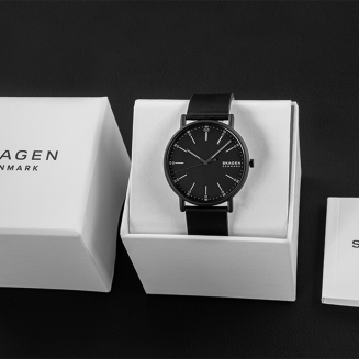 Zegarek Męski SKAGEN Signatur SKW6902 + BOX - 9