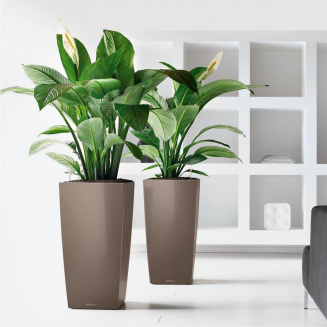 Lechuza Cubico Premium 22 flowerpot | 30 | 40 | 50 silver metallic - 11
