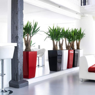 Lechuza Cubico Premium 22 flowerpot | 30 | 40 | 50 red gloss - 10