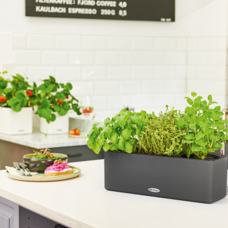  Lechuza Balconissima 40 plant pot with handle, gray slate - 12