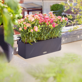  Lechuza Balconissima 40 plant pot with handle, gray slate - 13