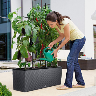  Lechuza Trio Cottage 30 planter | 40 graphite black - 9