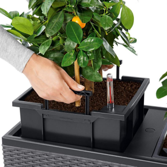  Lechuza Trio Cottage 30 planter | 40 graphite black - 4