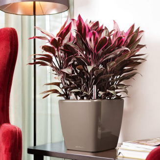  Lechuza Quadro Premium LS 21 flowerpot | 28 | 35 | 43 | 50 taupe gloss - 9