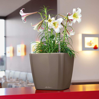  Lechuza Quadro Premium LS 21 flowerpot | 28 | 35 | 43 | 50 taupe gloss - 10