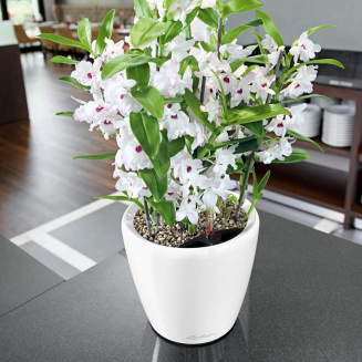  Lechuza Classico Premium LS 21 flowerpot | 28 | 35 | 43 | 50 silver metallic - 12