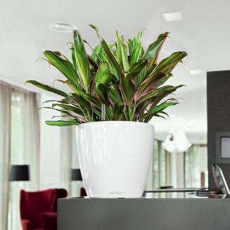  Lechuza Classico Premium LS 21 flowerpot | 28 | 35 | 43 | 50 silver metallic - 11