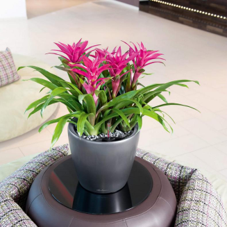  Lechuza Classico Premium LS 21 flowerpot | 28 | 35 | 43 | 50 silver metallic - 9