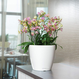  Lechuza Classico Premium LS 21 flowerpot | 28 | 35 | 43 | 50 silver metallic - 10