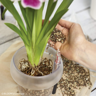  Lechuza Orchidpon substrate 6l - 3