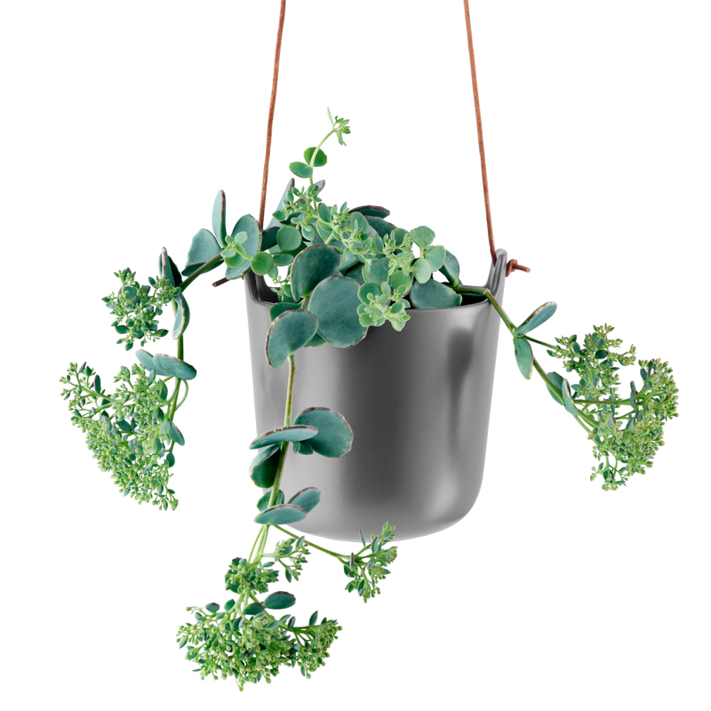  Eva Solo Grey Self-Watering Hanging Pot 15 cm
