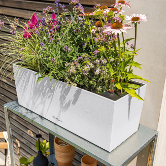  Lechuza Balconera Stone planter 50 | 80 white quartz - 7