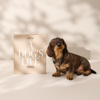 Fotoalbum - A Dog's Life XL | PRINTWORKS - 8