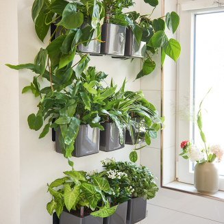  Wall strip for mounting Lechuza Cube flower pots - 2