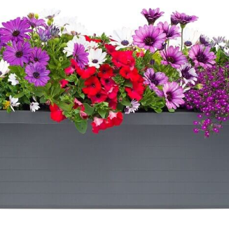 PLASTIA BERBERIS TRIO Donica samonawadniająca 117x39 cm szary - 2