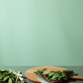  Eva Solo Green Tool Herb Knife - 3