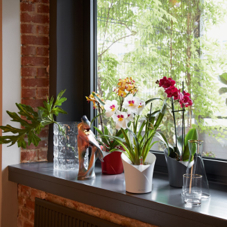  Lechuza Orchidea Color orchid planter, white - 2