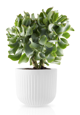  Eva Solo Legio Nova flowerpot Ø15 cm