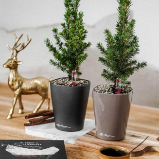  Lechuza Mini Deltini planter anthracite metallic - 5