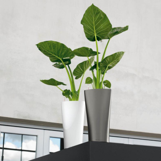  Lechuza Delta Premium 30 plant pot | 40 white gloss - 7