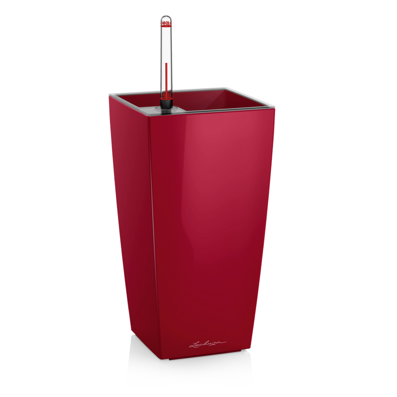  Lechuza Mini Cubi flowerpot | Maxi Cubi red gloss