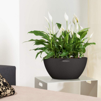  Lechuza Cubeto Stone flowerpot 30 graphite black - 7