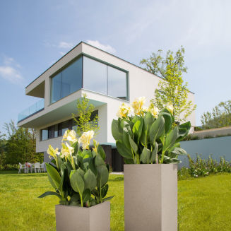  Lechuza Canto Stone flowerpot 30 column white quartz - 9