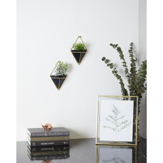  Umbra Trigg Black-Brass Small wall flowerpot, 2 pcs. - 13