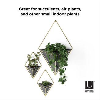  Umbra Trigg Black-Brass Small wall flowerpot, 2 pcs. - 10