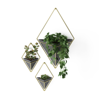  Umbra Trigg Black-Brass Small wall flowerpot, 2 pcs. - 4