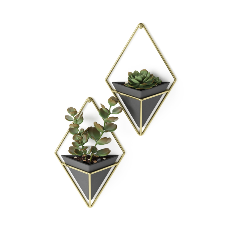  Umbra Trigg Black-Brass Small wall flowerpot, 2 pcs.