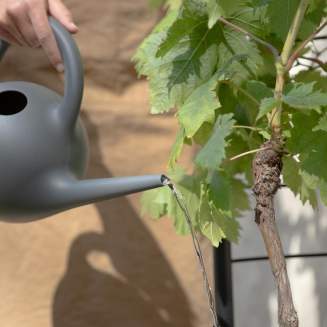 Donica samo-podlewająca Eva Solo Simply Grow Plant Pot Large - 4