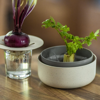 PLASTIA Pojemnik do ponownej uprawy warzyw kremowy - 5