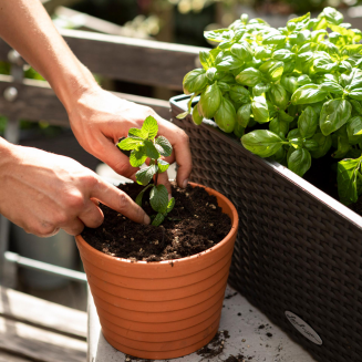  Lechuza Veggie-Pon substrate 6l - 4