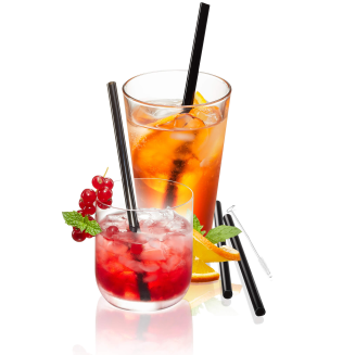  Set of 4 black straws in a Gefu Future case - 2
