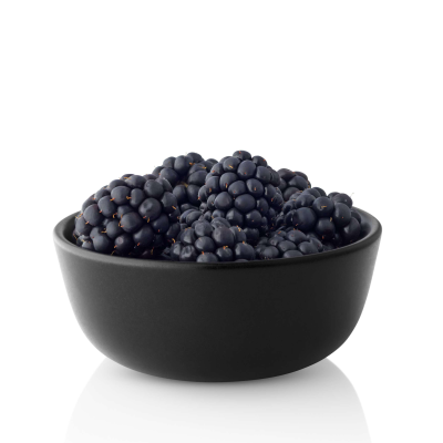 Eva Solo Nordic Kitchen Bowl 0.15 l Black