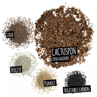 Lechuza Cactuspon substrate 3l - 3