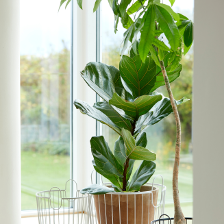  Basket Zone Denmark Inu Soft Grey 40x41 cm - 5