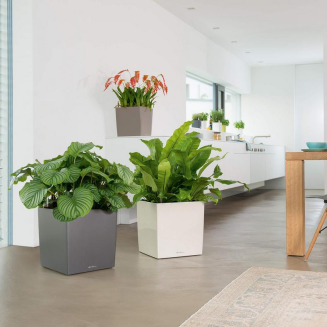  Lechuza Cube Premium 30 flowerpot | 40 | 50 white gloss - 12