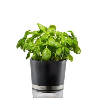  Gefu BOTANICO herb pot - 2