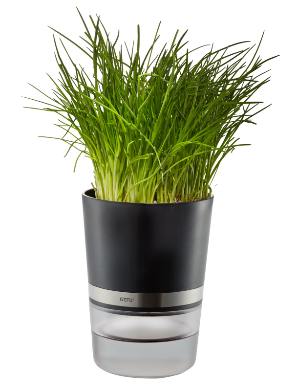  Gefu BOTANICO herb pot