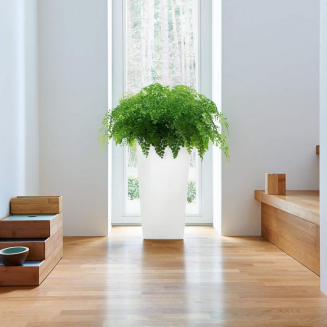  Lechuza Cubico Premium 22 flowerpot | 30 | 40 | 50 espresso metallic - 13