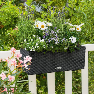  Lechuza Balconera Cottage 50 planter | 80 graphite black - 8