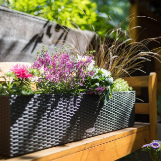  Lechuza Balconera Cottage 50 planter | 80 graphite black - 9