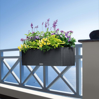  Lechuza Balconera Cottage 50 planter | 80 graphite black - 11