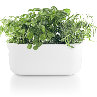 Eva Solo White Self-Watering Herb Pot 31 cm - 2