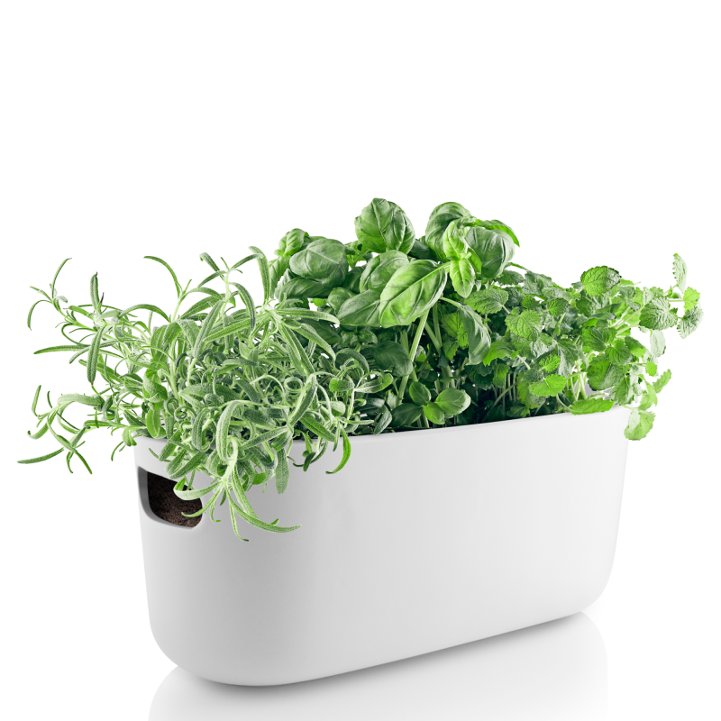 Eva Solo White Self-Watering Herb Pot 31 cm