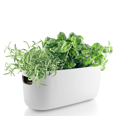 Eva Solo White Self-Watering Herb Pot 31 cm